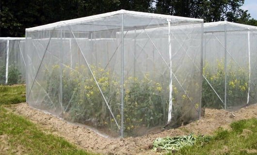 Net Cage - STIPL Agritech
