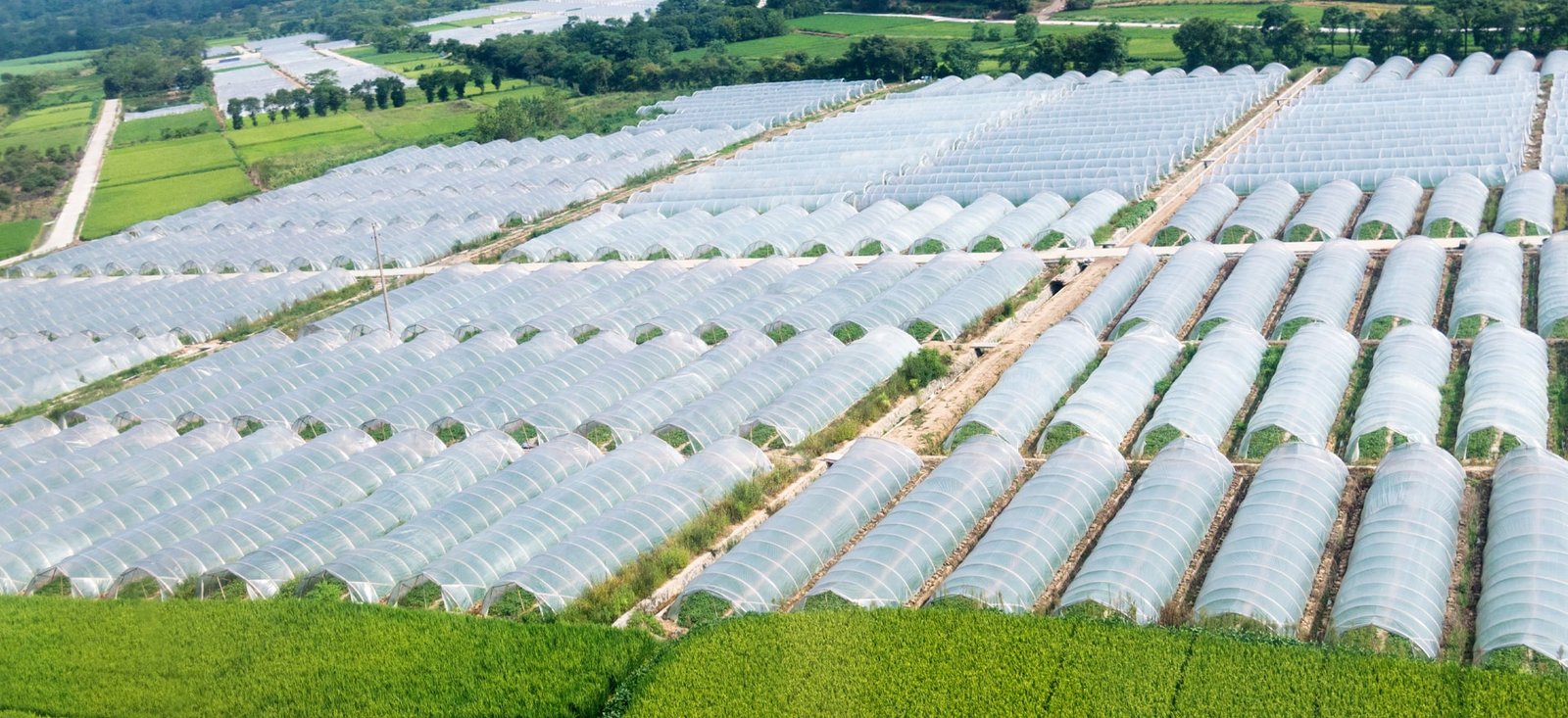 Image of Complete Protected Cultivation Solutions under one roof
